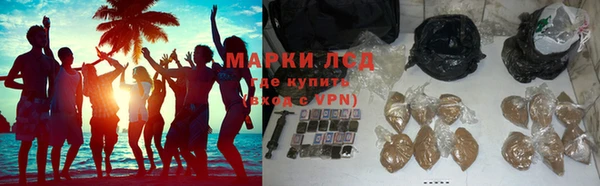 сатива Балахна