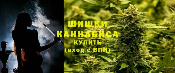 сатива Балахна