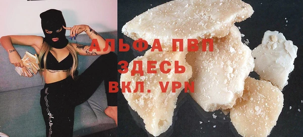сатива Балахна